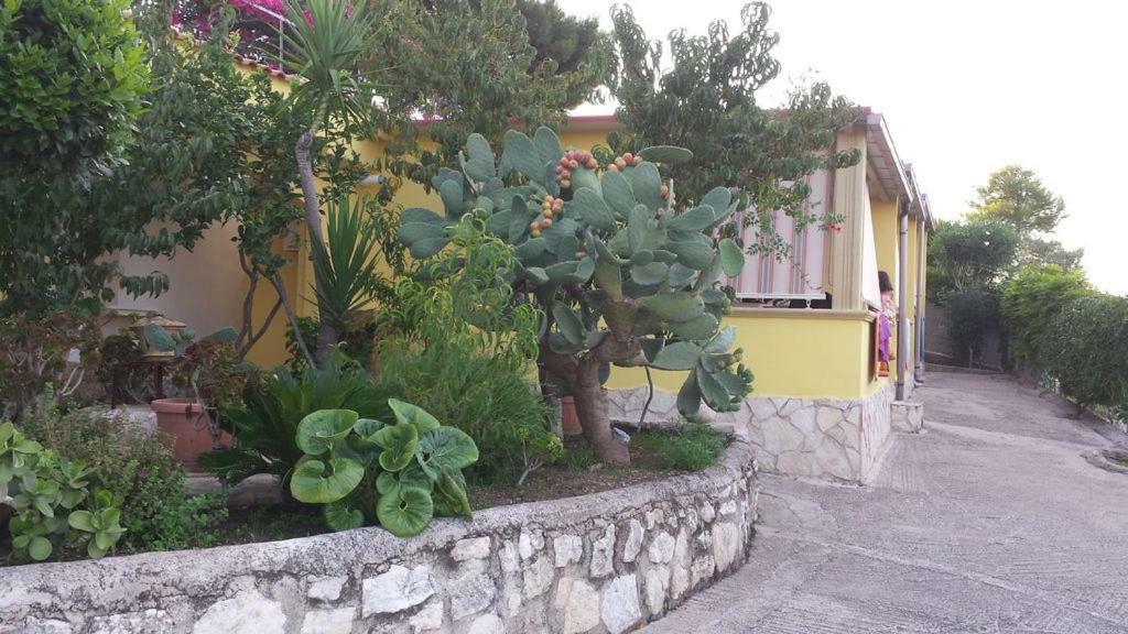 Villa Natura Sea View Весте Екстериор снимка